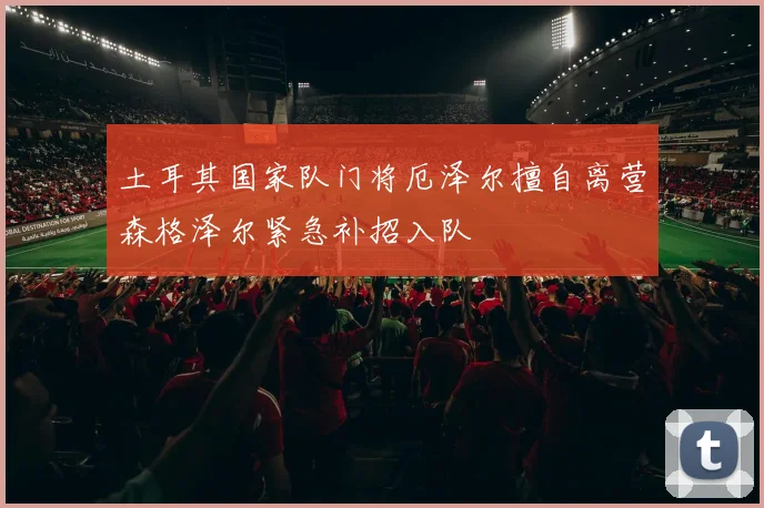 土耳其国家队门将厄泽尔擅自离营森格泽尔紧急补招入队