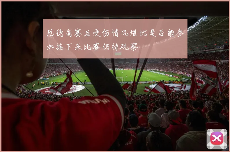 厄德高赛后受伤情况堪忧是否能参加接下来比赛仍待观察