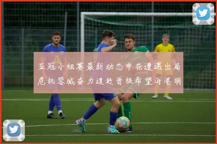 亚冠小组赛最新动态申花遭遇出局危机蓉城奋力追赶晋级希望海港明日迎战挑战