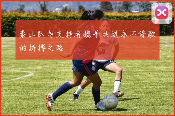 泰山队与支持者携手共进永不停歇的拼搏之路