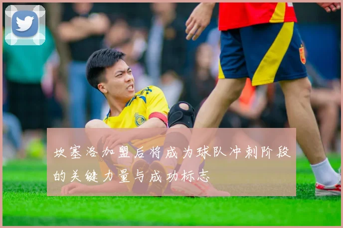 坎塞洛加盟后将成为球队冲刺阶段的关键力量与成功标志